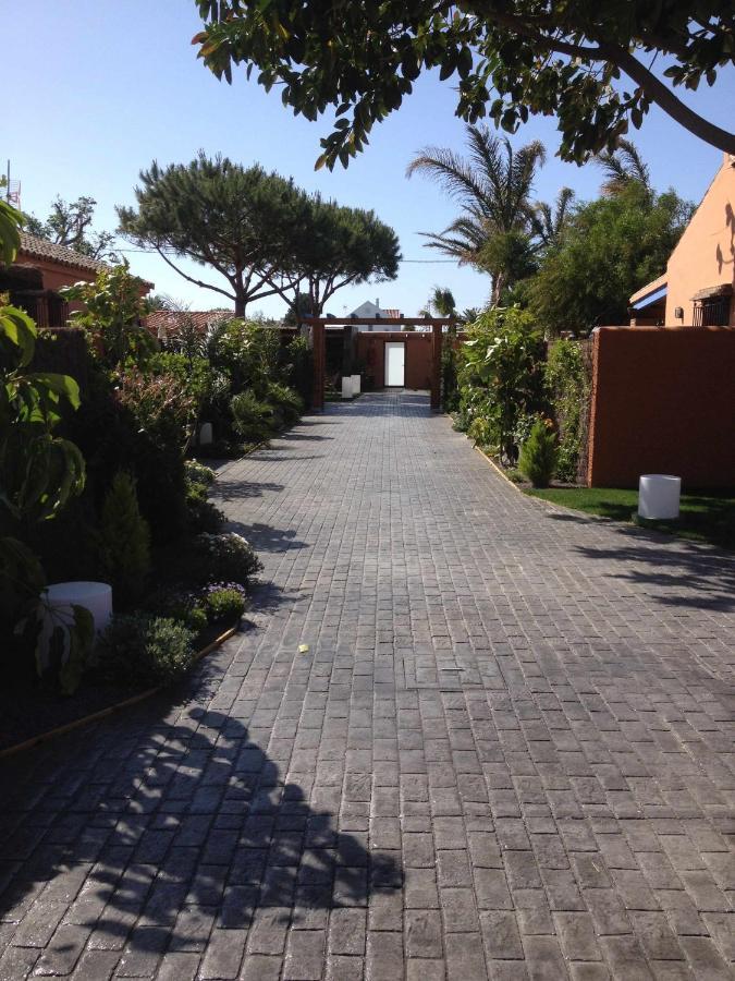 Estudio Para Pareja Con Jardincito Privado Barbaco Cadiz Dış mekan fotoğraf